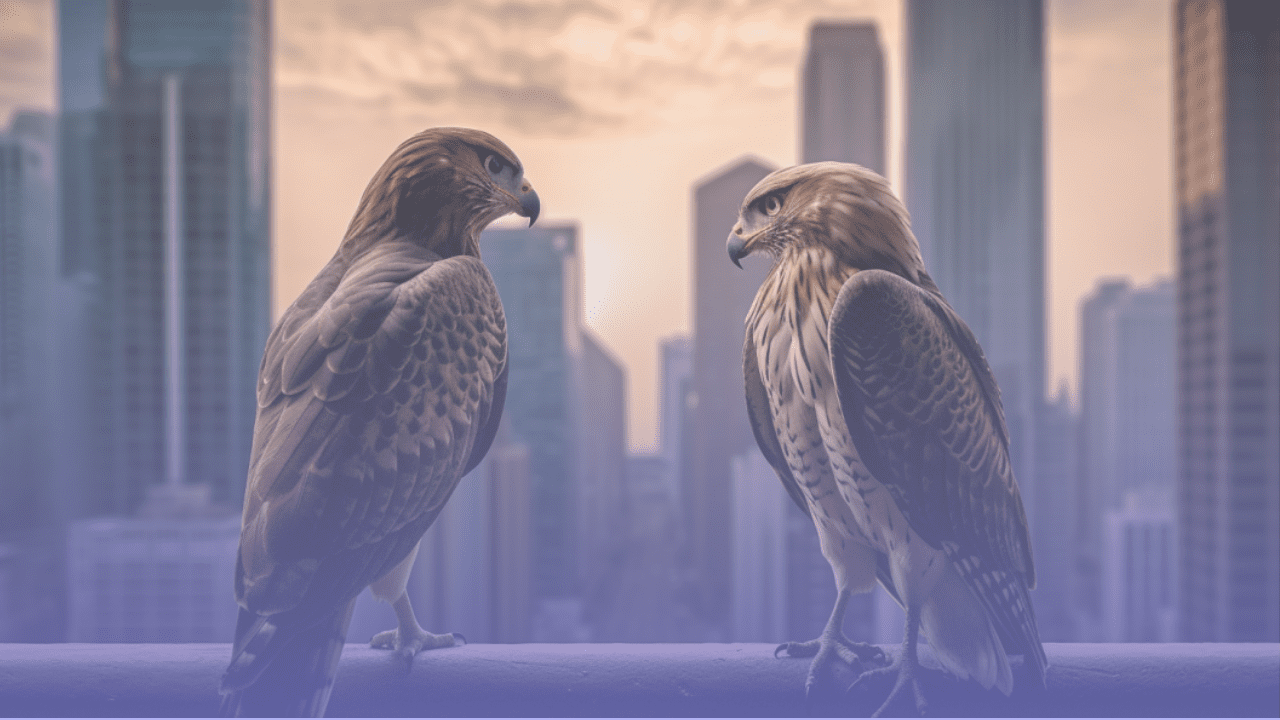 Decoding the Monetary Policy: Hawkish vs Dovish Explained